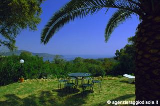 Vacanza Isola d'Elba: Agenzia